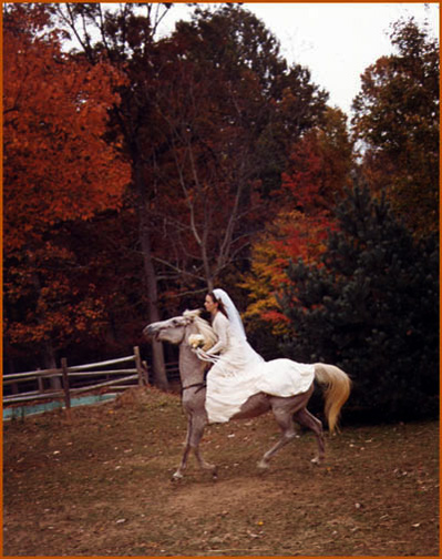 bride on a horse riding to her wedding in Tide water Virginia  at a destination wedding in Virginia Beach